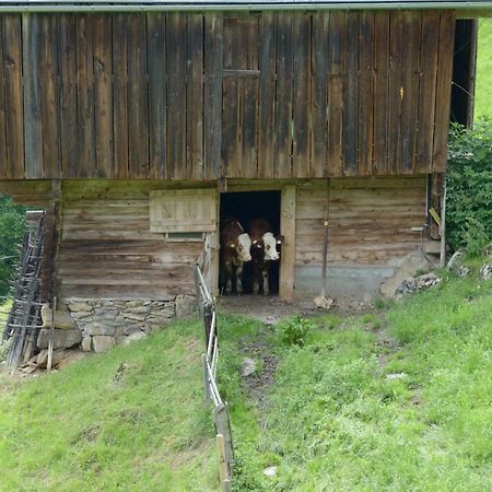Bergpension-Ebental Brixen im Thale Ngoại thất bức ảnh