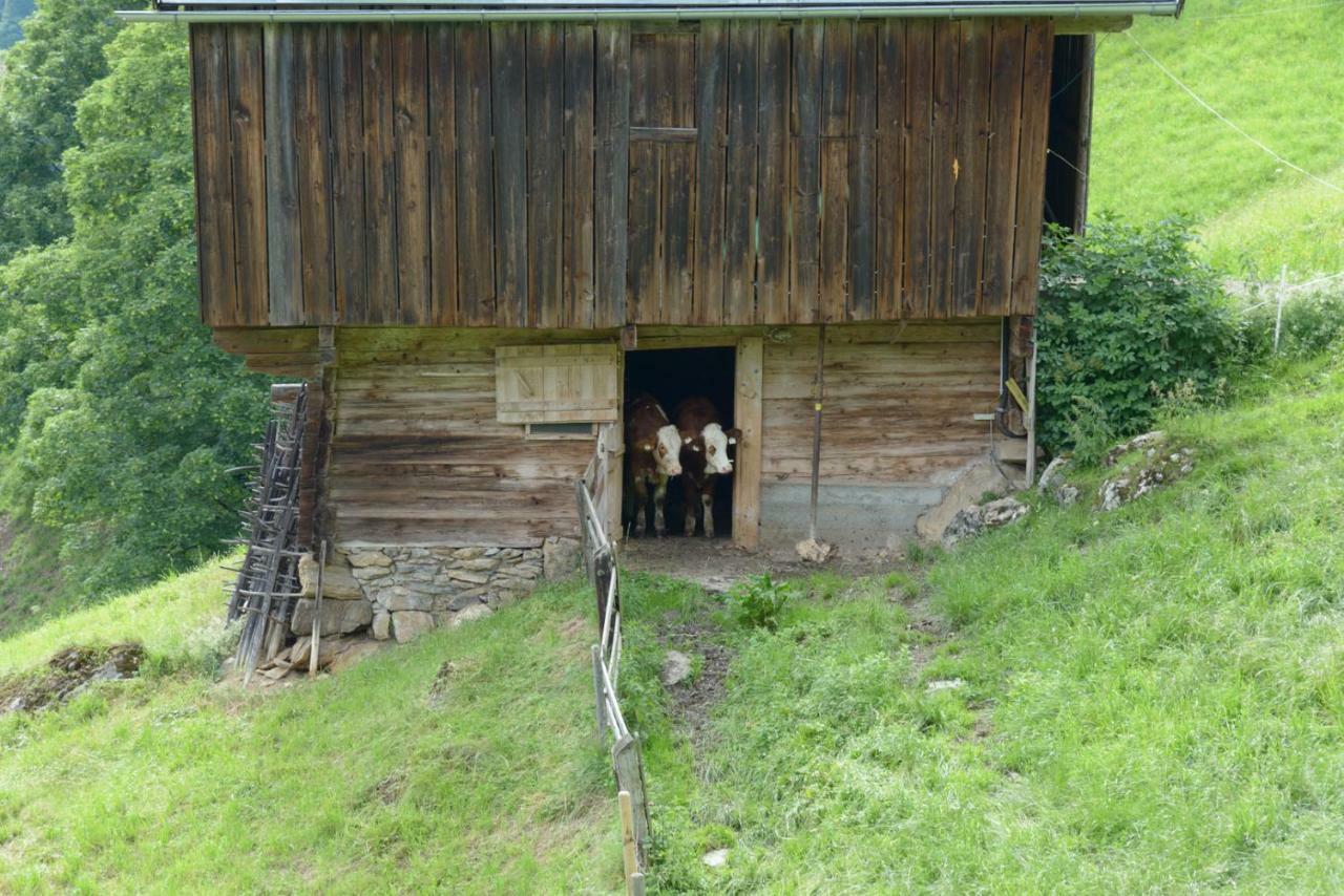Bergpension-Ebental Brixen im Thale Ngoại thất bức ảnh